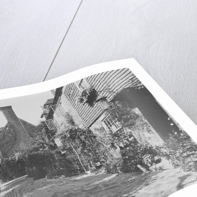 The Walks, Groombridge by English Photographer