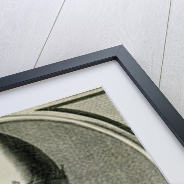 Pope Gregory V by English School