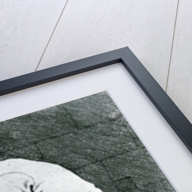 Stone mason, 1737 by French School