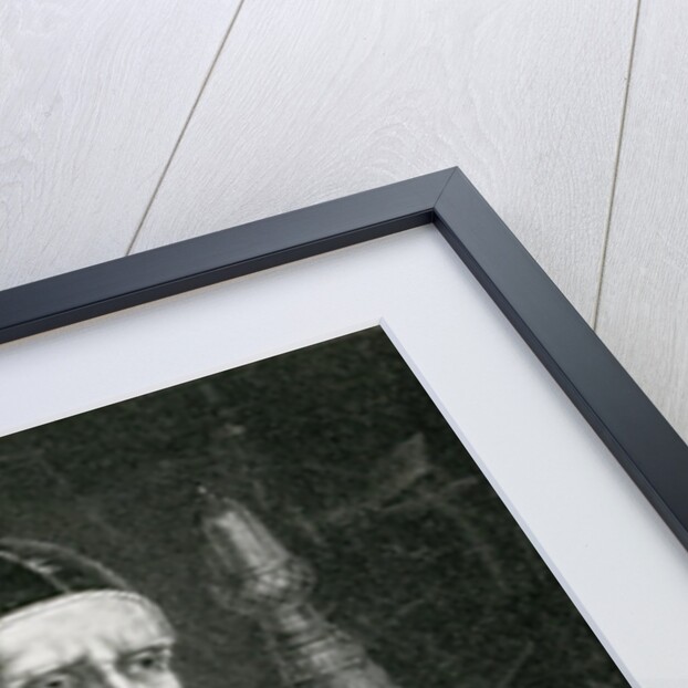 Pope Julius II by Raphael