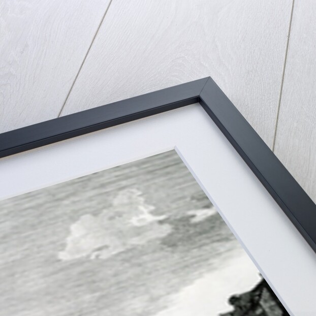 View of Dresden by Bernardo Belotto Canaletto