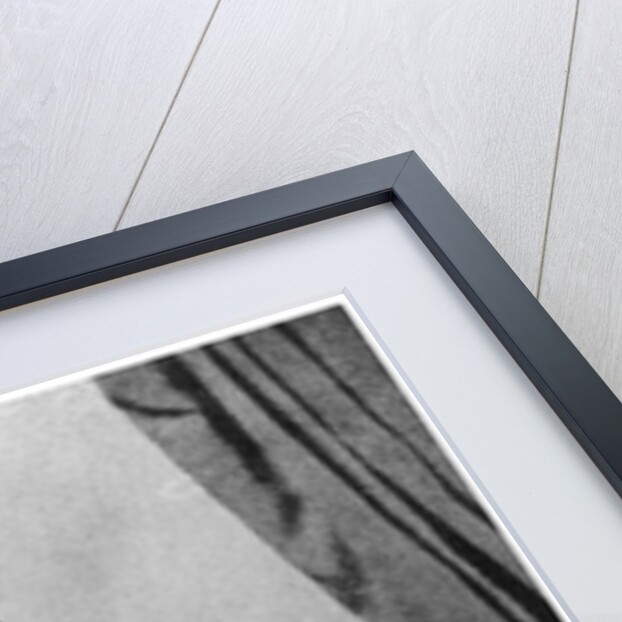 Lev Nikolaevich Tolstoy as a student by Russian Photographer