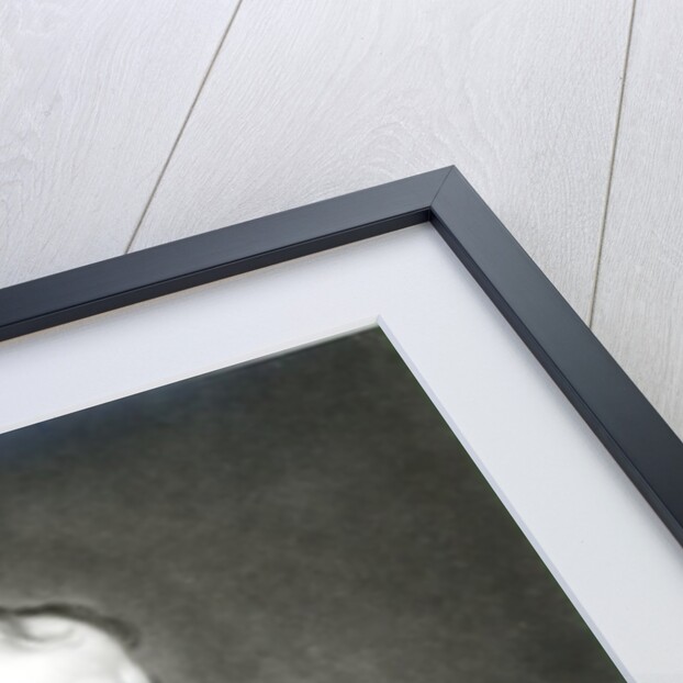 William Godwin 1802 by James Northcote