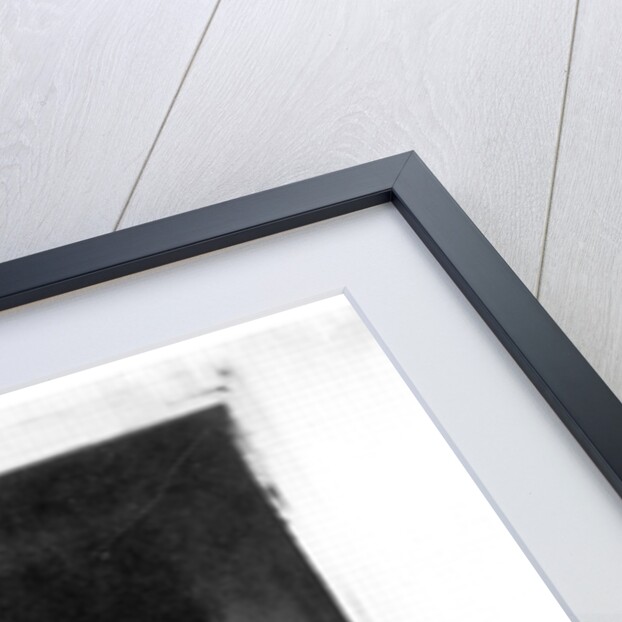 Lord Raglan, Omar Pasha and General Pelissier, Crimea, 1855 by Roger Fenton