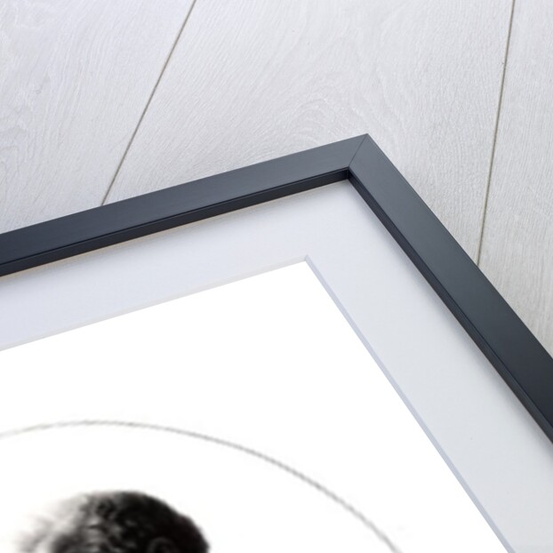 Democritus, engraved from a bust in the Vatican Museum by Alexander Day