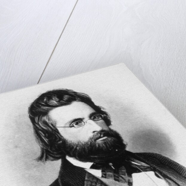 Andrew Jackson by American School