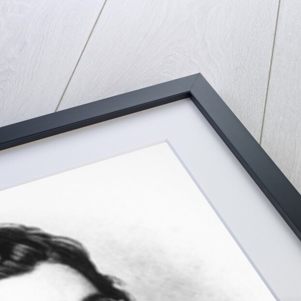 Andrew Jackson by American School