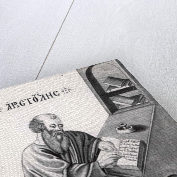 Aristotle by Anonymous