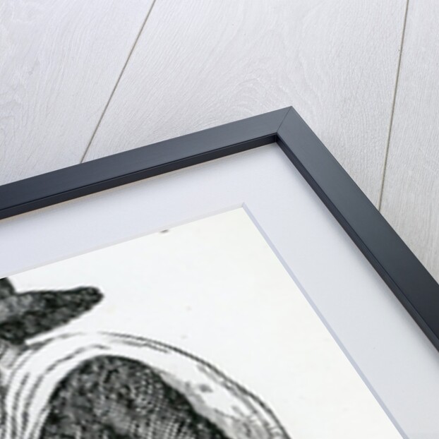 Jewish Hawker of Hamburg, Eighteenth Century by Christoph Suhr