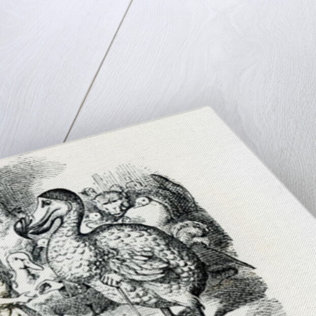 Alice meets the Dodo by John Tenniel