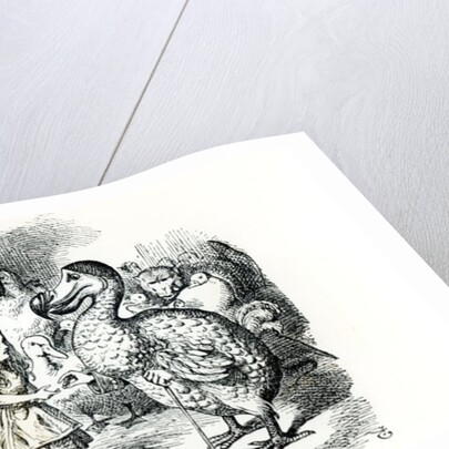 Alice meets the Dodo by John Tenniel