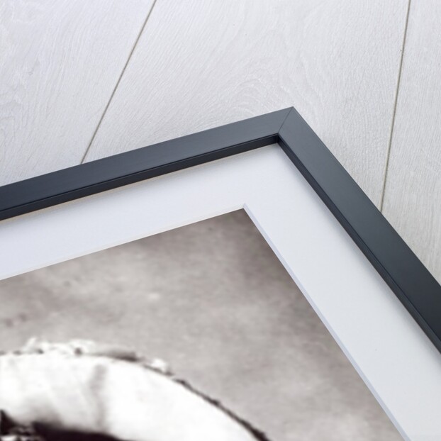 Marie Lloyd by English Photographer