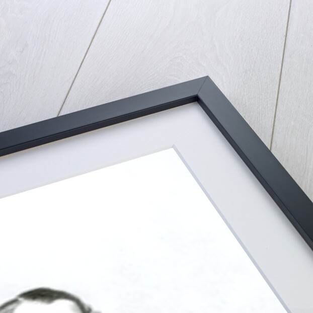 Charles Kingsley by English School