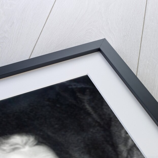 James Monroe by American School