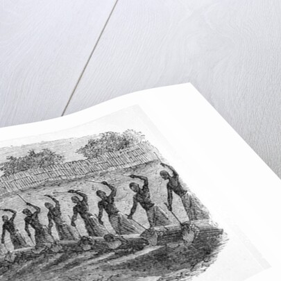 The King's New Moon Levée by John Hanning Speke