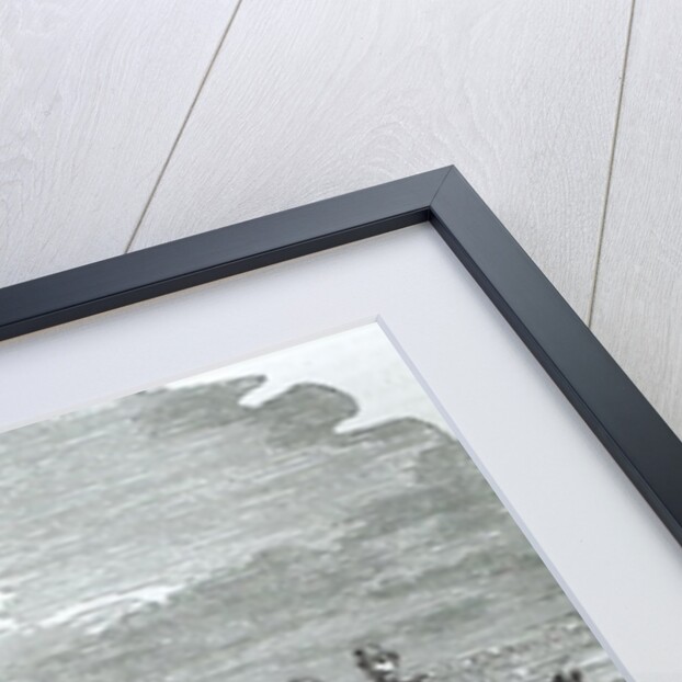 The Emperor Napoleon III on the Field of Battle at Solferino, 24th June 1859 by English School