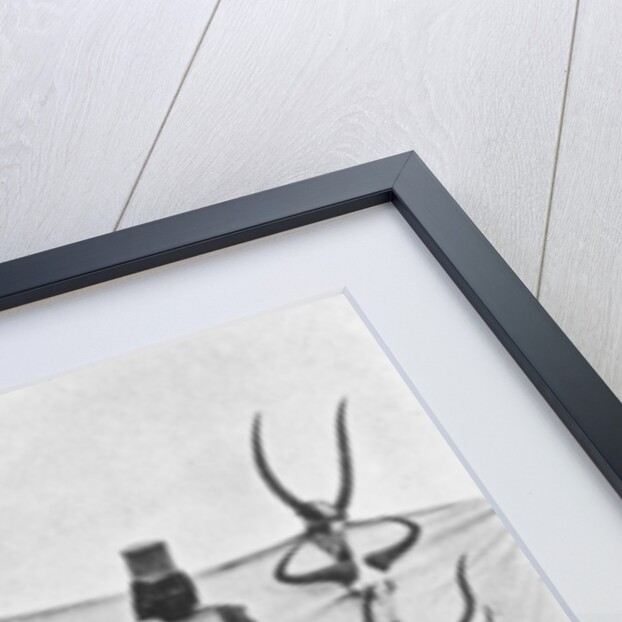 A Three Weeks' Shoot on the Guaso Nyiro by Francis Arthur Dickinson