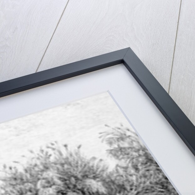 The Vessels in the Grass-Barrier by English School