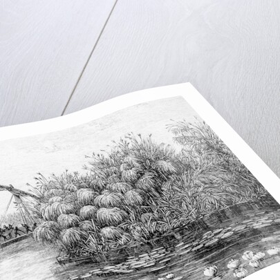 The Vessels in the Grass-Barrier by English School