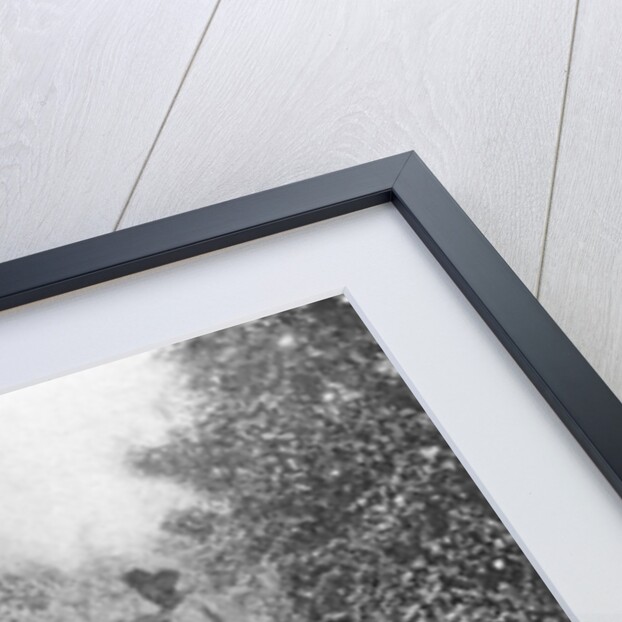 Mid-day halt on the march by English Photographer