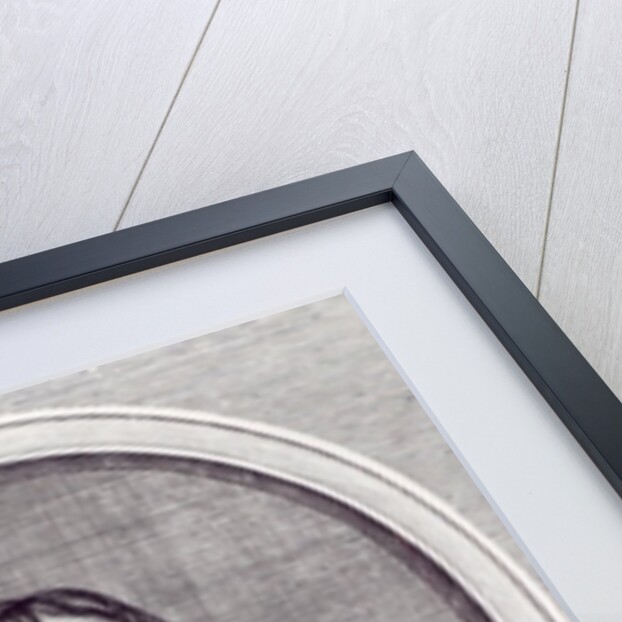 Sir Thomas Browne by English School