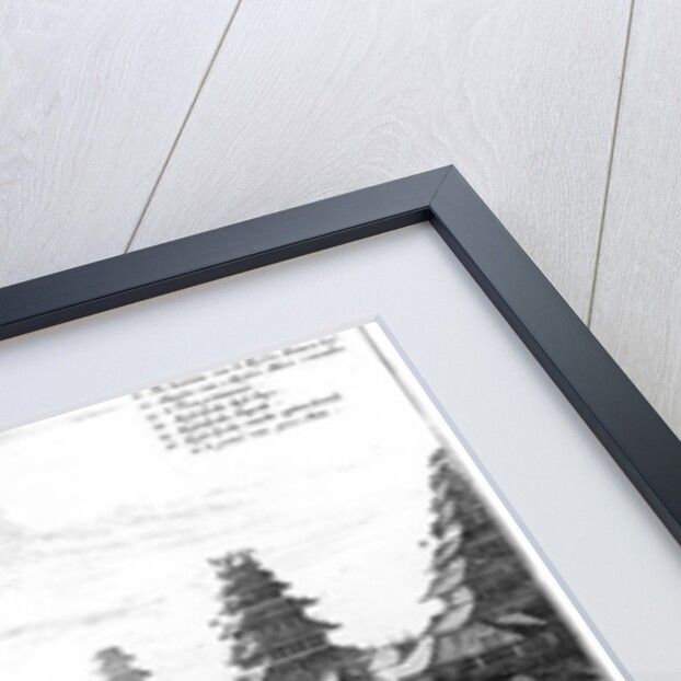 The Imperial Palace Edo, 1725 by Dutch School