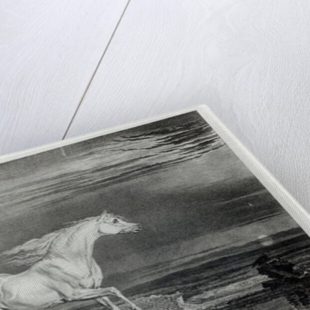 Marengo by James Ward