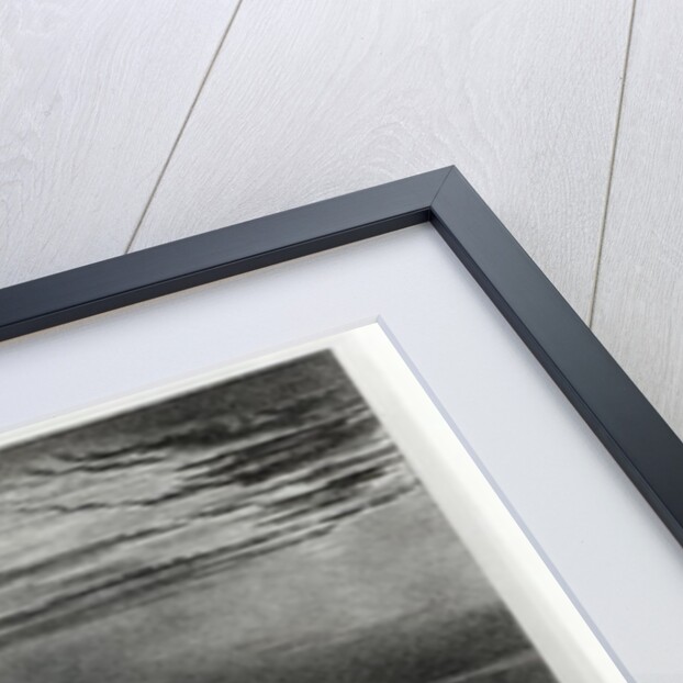 Marengo by James Ward