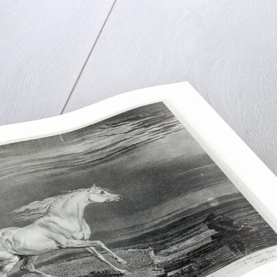 Marengo by James Ward