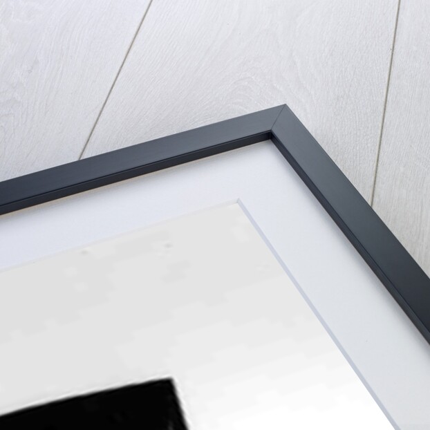 Oda Nobunaga by Anonymous