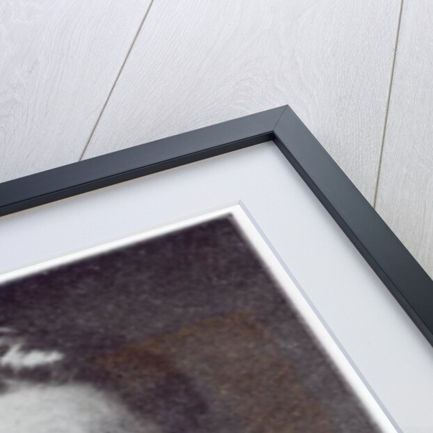 Portrait of Rupert Brooke by English Photographer