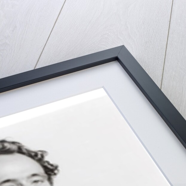 Portrait of Alexandre Dumas Fils engraved by Gregoire and Deneux by French School