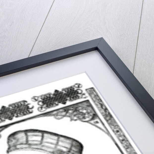 Sigismund I, 1532 by Anonymous