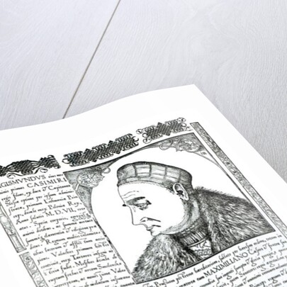 Sigismund I, 1532 by Anonymous