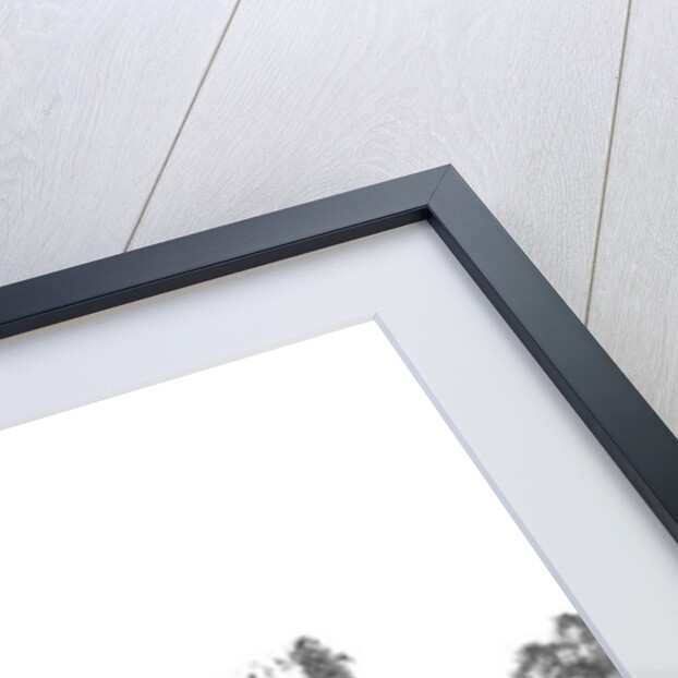 View of the Exterior of the Crystal Palace, built for the Great Exhibition of 1851 by English School