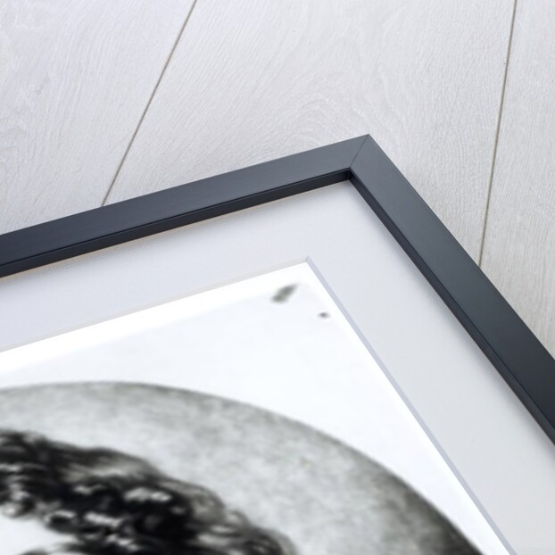 James Scott, Duke of Monmouth and Buccleuch by English School