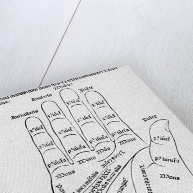 Palmistry by English School