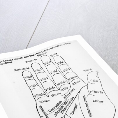 Palmistry by English School