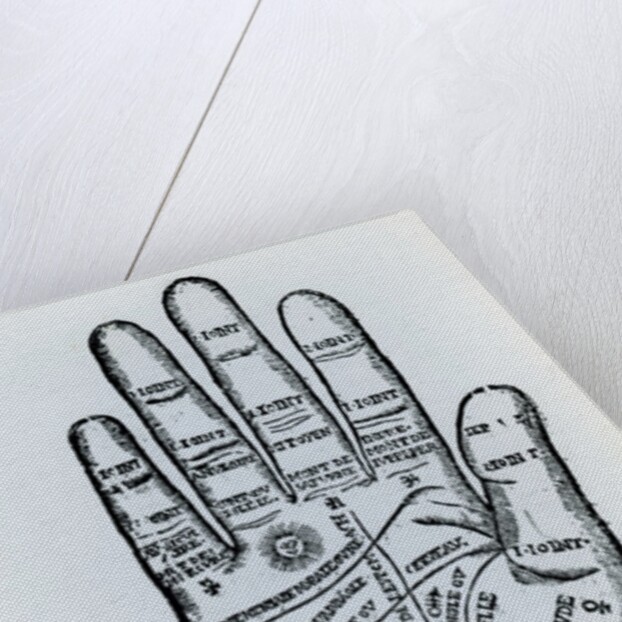 Palmistry by English School