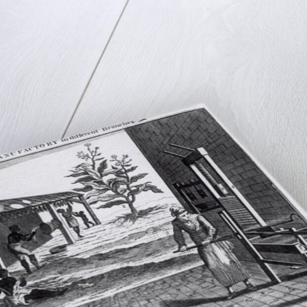 The Tobacco Manufactory in Different Branches, engraved for the Universal Magazine, 1750 by English School