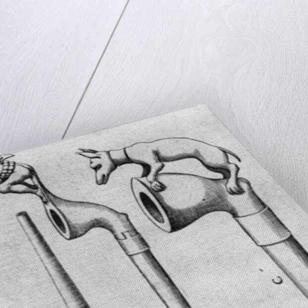 Smoking Pipes by American School