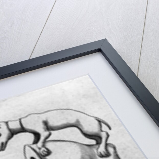 Smoking Pipes by American School