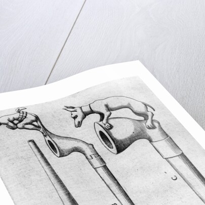 Smoking Pipes by American School