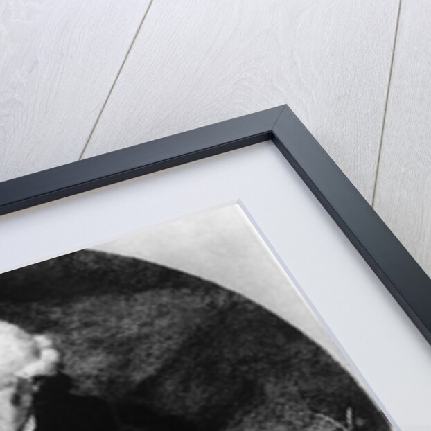 Immanuel Kant, 1905 by Georg Dobler (after)