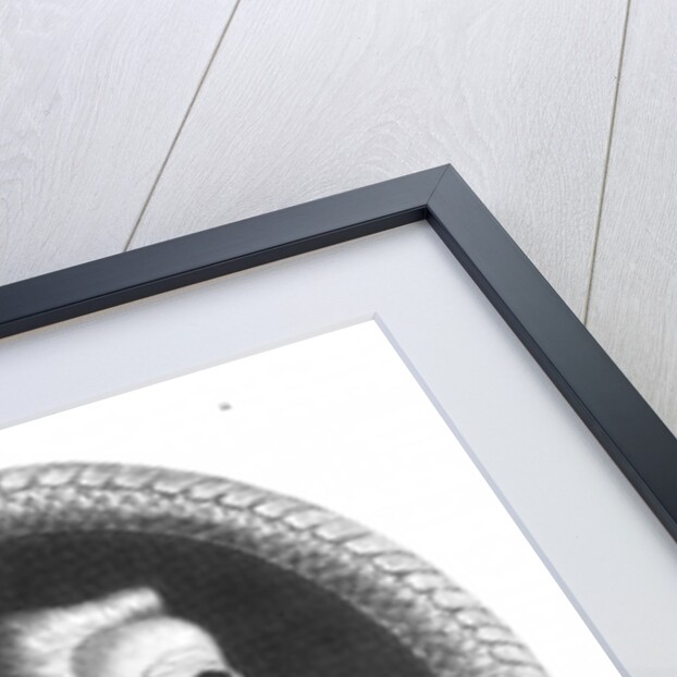 Immanuel Kant by English School