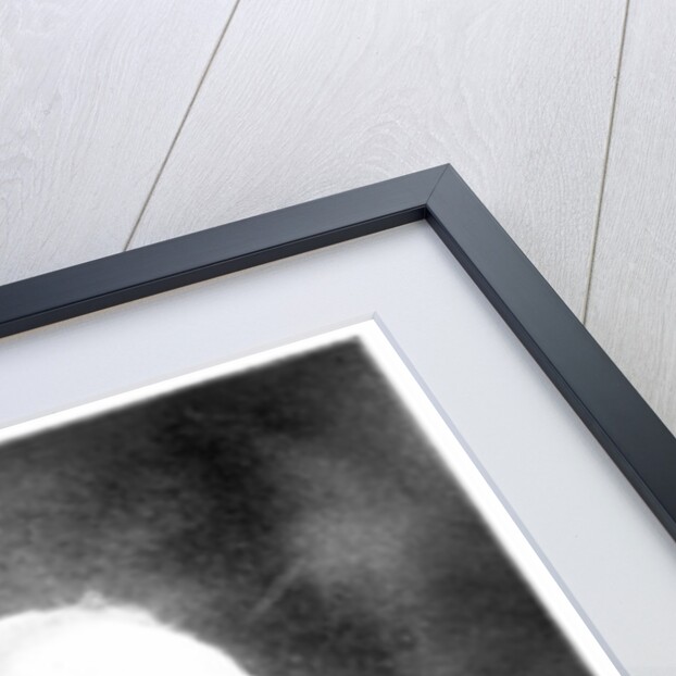 Manuel Amador Guerrero, first President of Panama by Anonymous