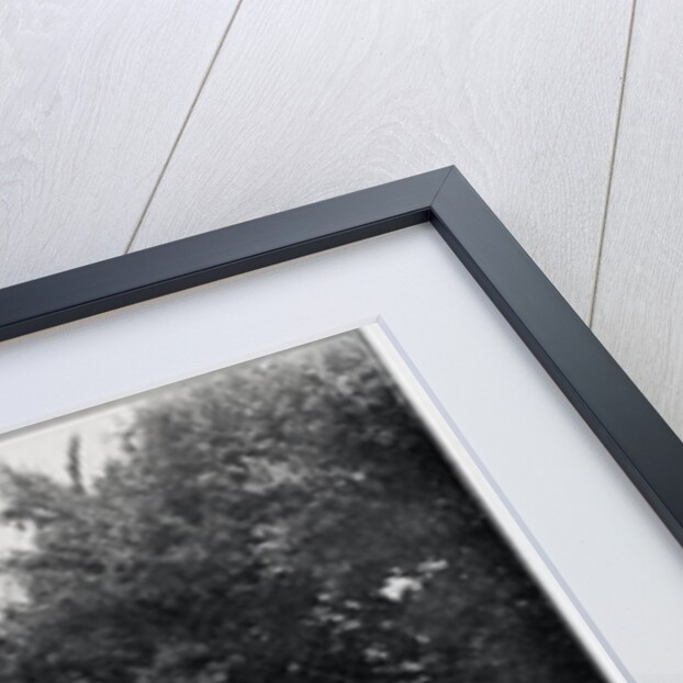 Canal Administration Building, Panama by Anonymous