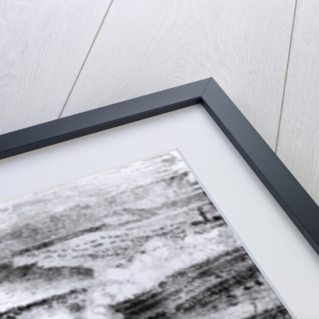 The Battle of Austerlitz, 2 December 1805 by English School