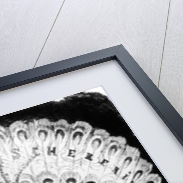 How Do We Stand in the World by E Spott