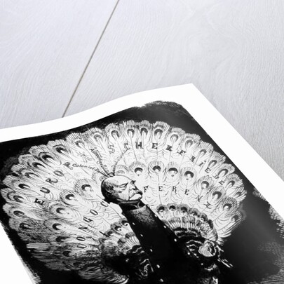 How Do We Stand in the World by E Spott